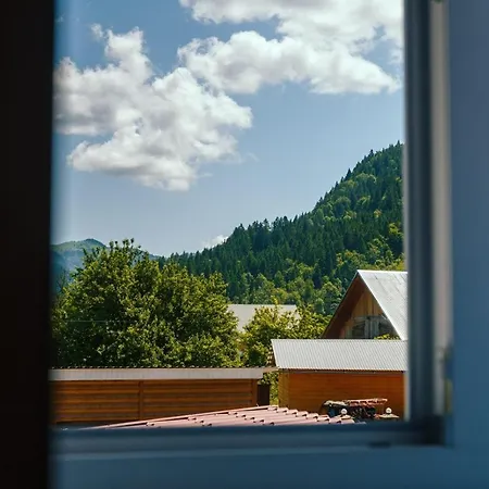 під соснами Krivorovnya