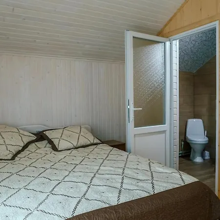 Guest house під соснами Krivorovnya