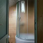 під соснами Krivorovnya
