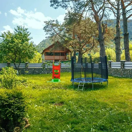 ゲストハウス під соснами