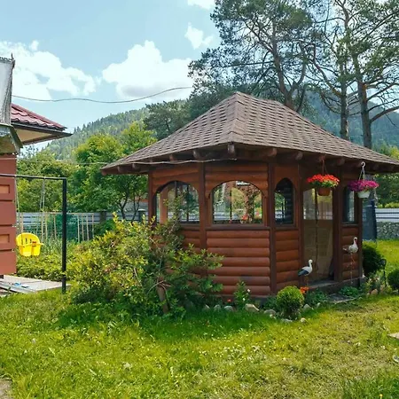 під соснами ゲストハウス *